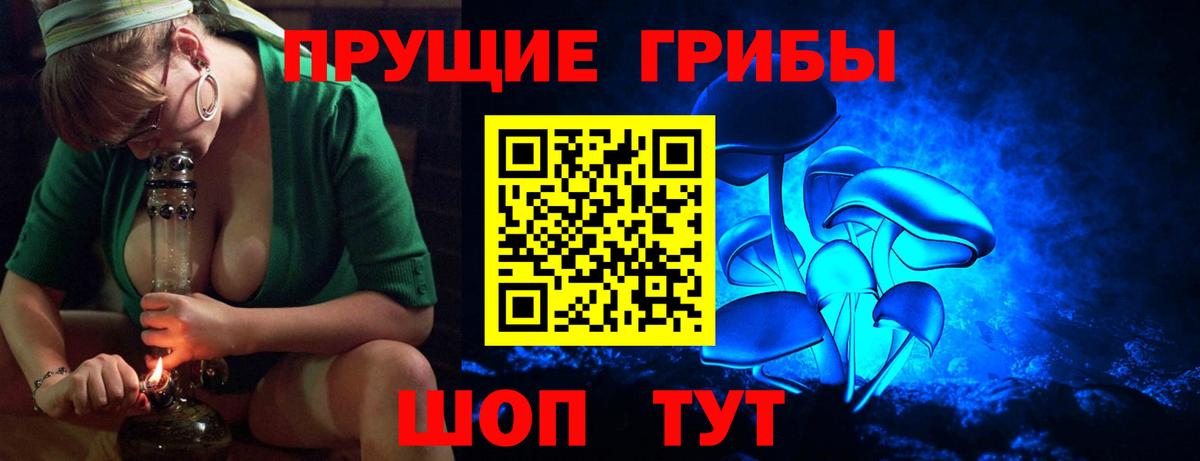 Псилоцибиновые грибы Magic Shrooms Россия