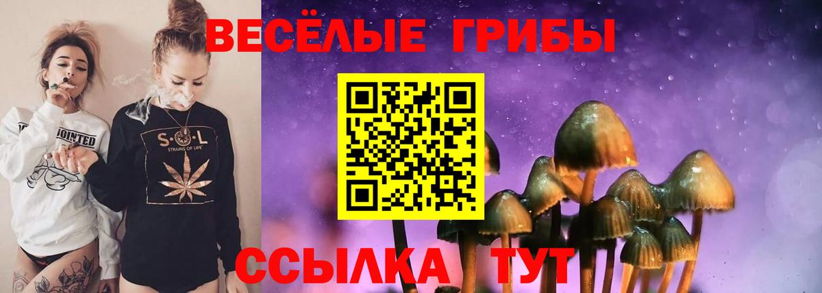 Галлюциногенные грибы GOLDEN TEACHER  Вход с VPN  купить наркотики сайты  Россия 